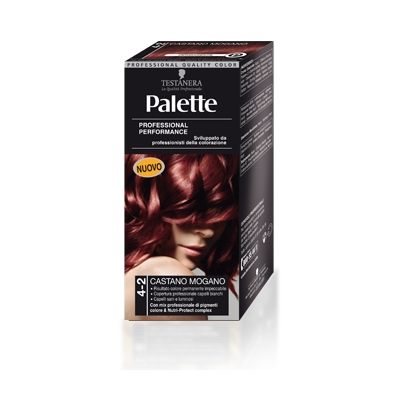 Coloring Treatment Palette 4-2 Brown Mogamo