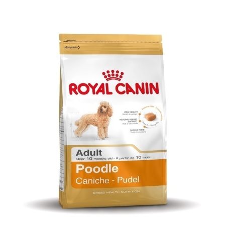 dog food for toy poodles