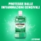 Defence Mouthwash Teeth Gums 500Ml