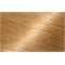 Belle color - Permanent hair dye No. 21 light golden brown