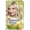 Permanent Hair Dye Natural & Easy 522 Silver Light Blond