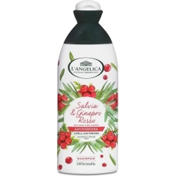 Dandruff Shampoo With Extracts Of Nettle And Juniper 250 Ml