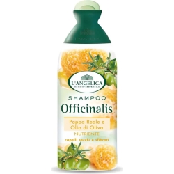 Revitalizing Shampoo With Pappa Reale 250 Ml