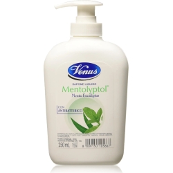 Liquid Soap For Hands With Antibacterial 250 Ml