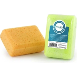 Sponge For The Body Blunt Soft And Delicate Cellulose