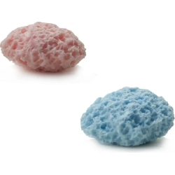 Arome Baby - Milk-scented sponge assorted colors
