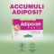 Supplement Adipoxan Forte For Weight Control 30 Capsule 31,9 Gr