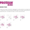 Protesan Mono Repair Of Dental Implants Single Use