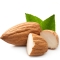 Sweet Almond Oil - Pure emollient and moisturizing oil 100 Ml