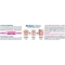 Toothpaste Family 75 Ml