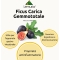 Drops For Gastric Disorders Gemmo Total Ficus Carica 50Ml