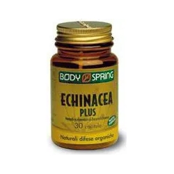 Supplement Immunostimulant Echinacea Plus 30 Capsule