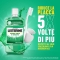 Mouthwash Defense Teeth And Gums 250 Ml