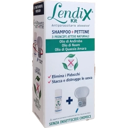 Kit Complete Treatment Lice Consisting Shampoo + Comb