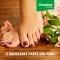 Timodore Deodorant Powder for Feet 250 gr