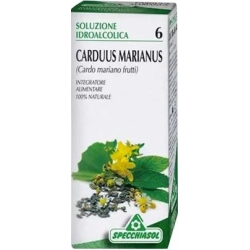 Hydroalcoholic Solution 6 - Milk Thistle Supplement 50 Ml