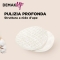 Cotton Pads Cleansing For The Face 70 Pieces