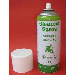 Instant Ice Spray 400 ml