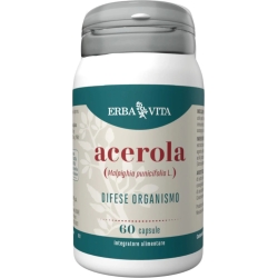 Supplement Immunostimulant Acerola  For Influeza's Symtoms 60 Capsule