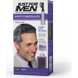 Touch of Grey - Coloring treatment for men Black 40 g