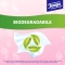 Handkerchiefs Sensitive Skin With Aloe Extract 10 Packages