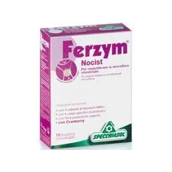 Supplement Ferzym Nocist For Intestinal Health 10 Sachets