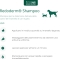 Shampoo Rodederm Gentle For Dogs And Cats 250 ml