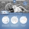 Clx Cleansingl Wipes For Cats And Dogs 40 Pieces