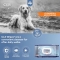 Clx Cleansingl Wipes For Cats And Dogs 40 Pieces