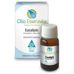 Essential Oil Eucaliptus 10 ml