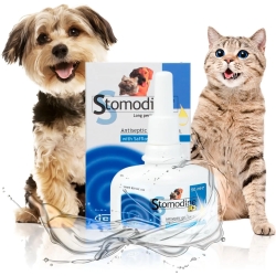 Stomodine Lp Gingival Gel 50 Ml