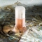 Roma - Eau De Toilette For Women spray 100 Ml