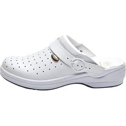 Professional Shoe New Clogs  Bonus With White Holes N 43