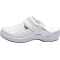 Professional Shoe New Clogs  Bonus With White Holes N 43