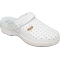 Professional Shoe New Clogs  Bonus With White Holes N 43