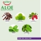 Cream Mud Slimming Night 500 ml