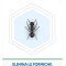 Ant Bait Insecticide 1 Piece