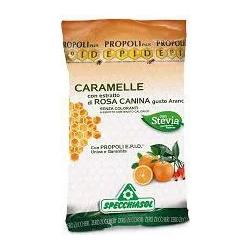 Propoli Plus Epid Rosehip extract Orange Flavour 24 Pieces