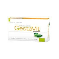 Supplement Gestavit Multivitamin 30 Capsule