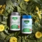 Supplement Le Dieci Erbe Flor - The Ten Herbs Flor 60 Capsule