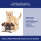 Pesticide Spray For Dogs And Cats 250 Ml