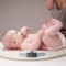 Digital scale for newborns up to a maximum of 20 kg