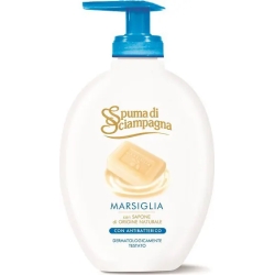 Liquid Soap With Antibacterial Marseilles 250 Ml