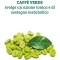Supplement Caffè Verde Plus-Coffee Green Plus 60 Tablets 1000 Mg