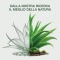 Not Soap Aloe Vera Organic Face And Hand 300 ml