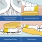 Nova Medium Toothbrush