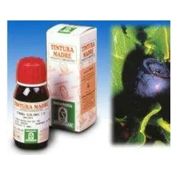 Hydroalcoholic Solution Blueberry 31 Tintura Madre 50 ml