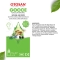 Natural Ear Drops 10 ml
