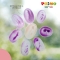 pearly finger colours box 6 jars of 100 g