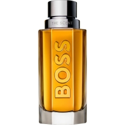 the scent - eau de toilette for men spray 100 ml